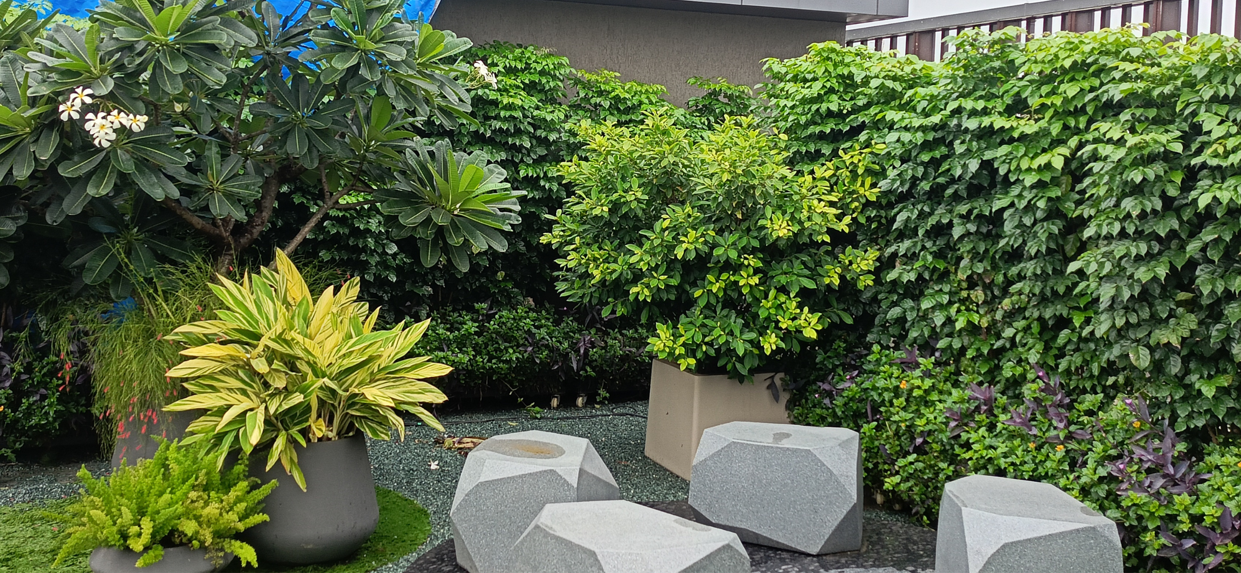 Landscape garden design project at 93 East residential site